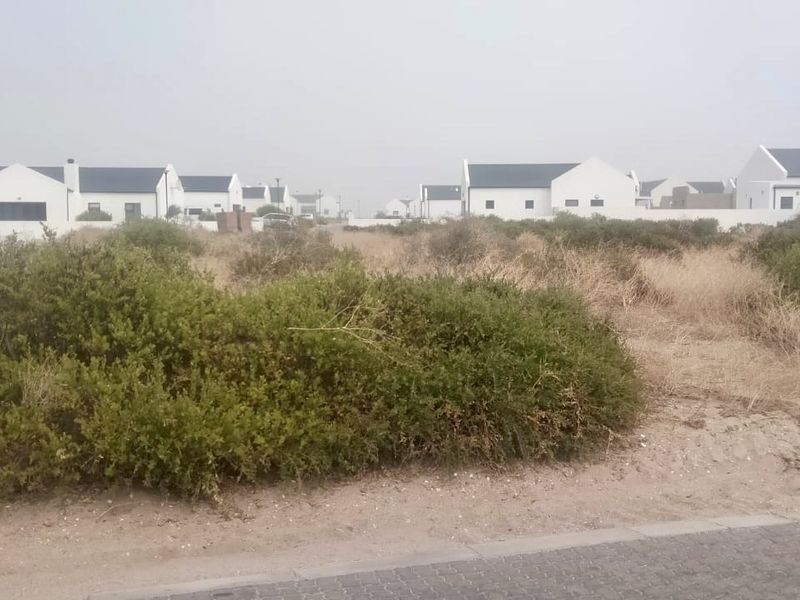 A vacant residential plot featuring natural coastal vegetation, situated within a developed estate with established neighboring homes.
