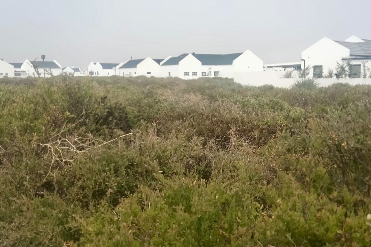 A view of a vacant residential plot covered in native coastal vegetation, situated within a developed residential estate.