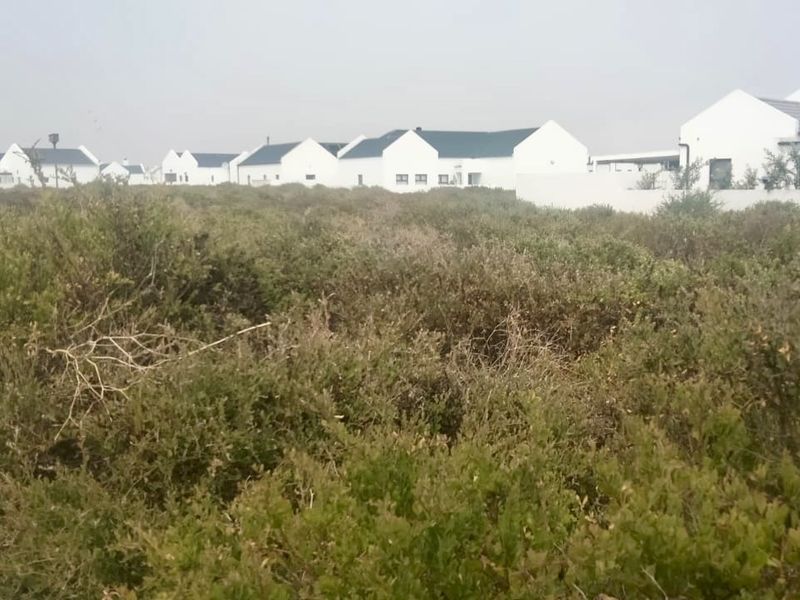 A view of a vacant residential plot covered in native coastal vegetation, situated within a developed residential estate.