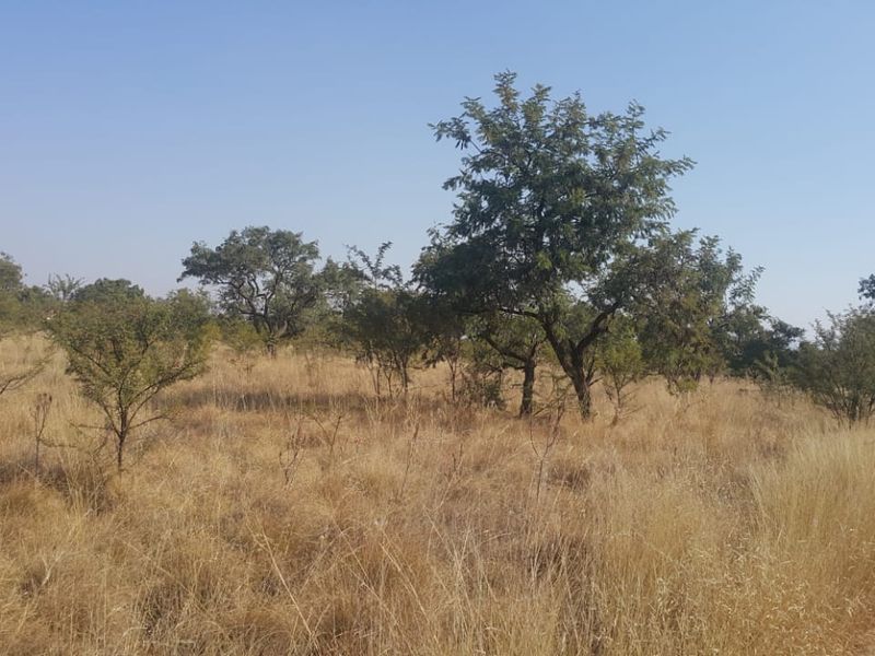 Prime 21.4 ha Farm for Sale in Waagfontein, Rustenburg – Endless Potential! - Photo 9