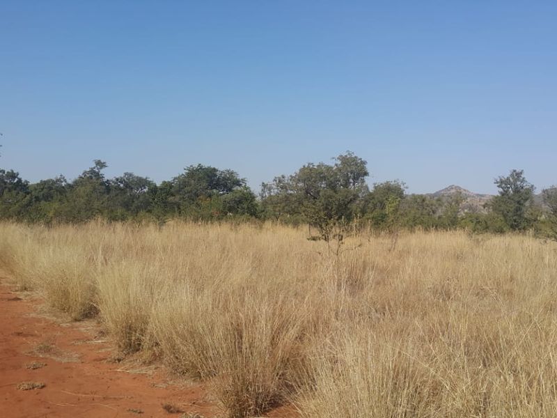 Prime 21.4 ha Farm for Sale in Waagfontein, Rustenburg – Endless Potential! - Photo 8