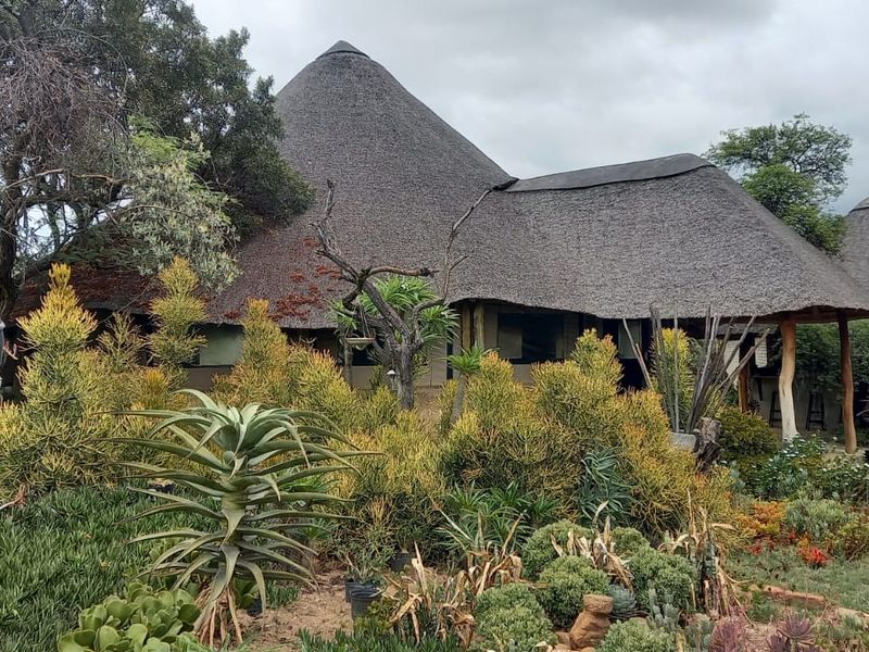 9.6 ha Lifestyle Smallholding – For Sale  in Mooinooi - Photo 5