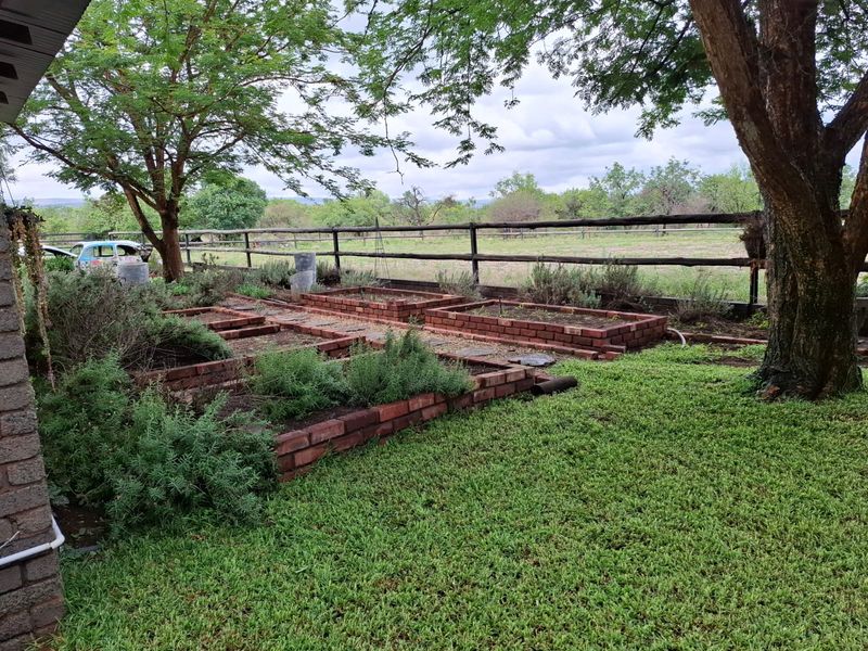 9.6 ha Lifestyle Smallholding – For Sale  in Mooinooi - Photo 9