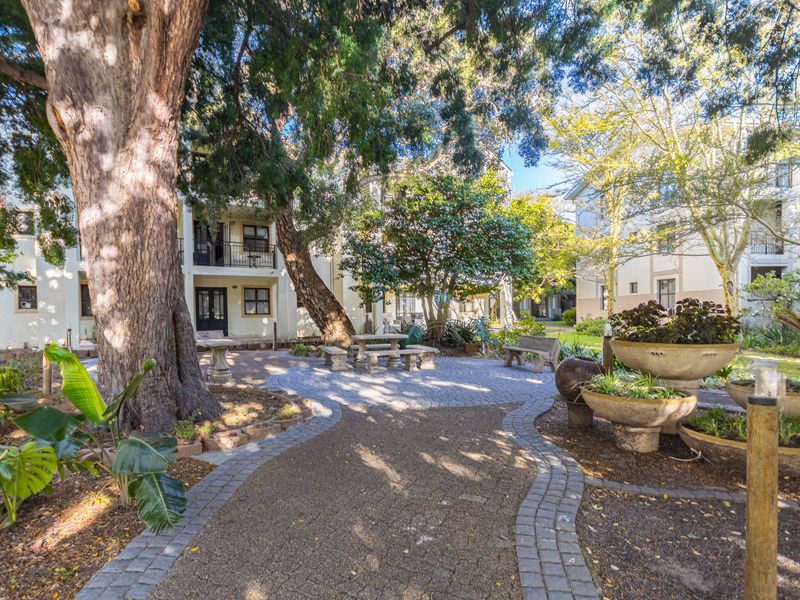 Spacious, Secure Student Apartment - Photo 10