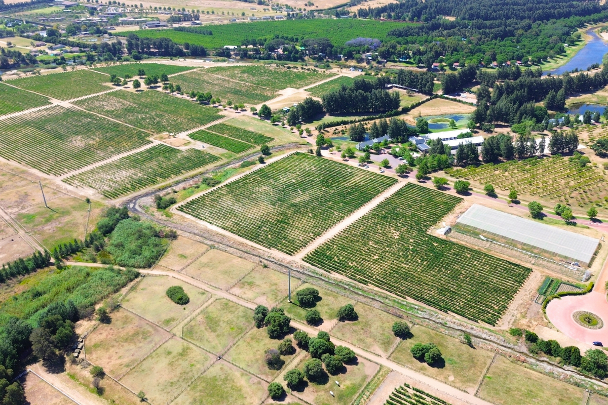 A RARE CANVAS FOR A REMARKABLE WINELANDS ESTATE - Photo 3