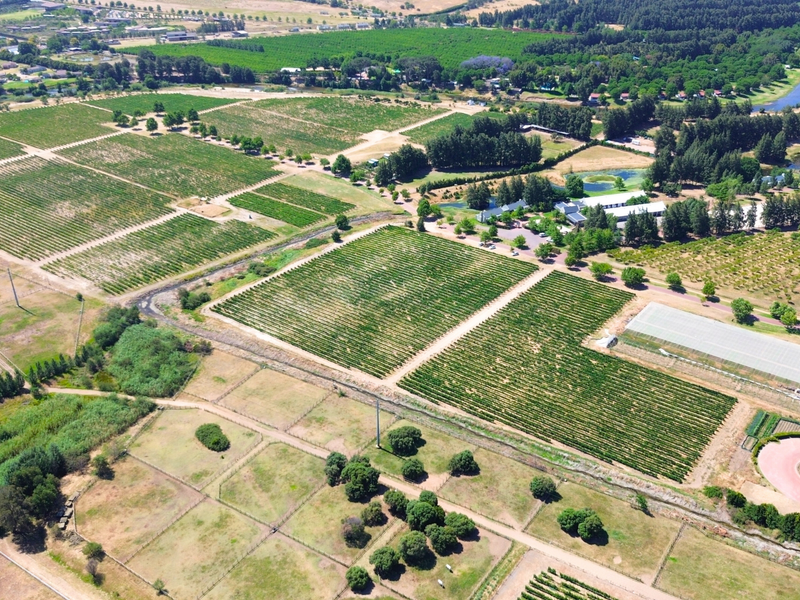 A RARE CANVAS FOR A REMARKABLE WINELANDS ESTATE - Photo 3