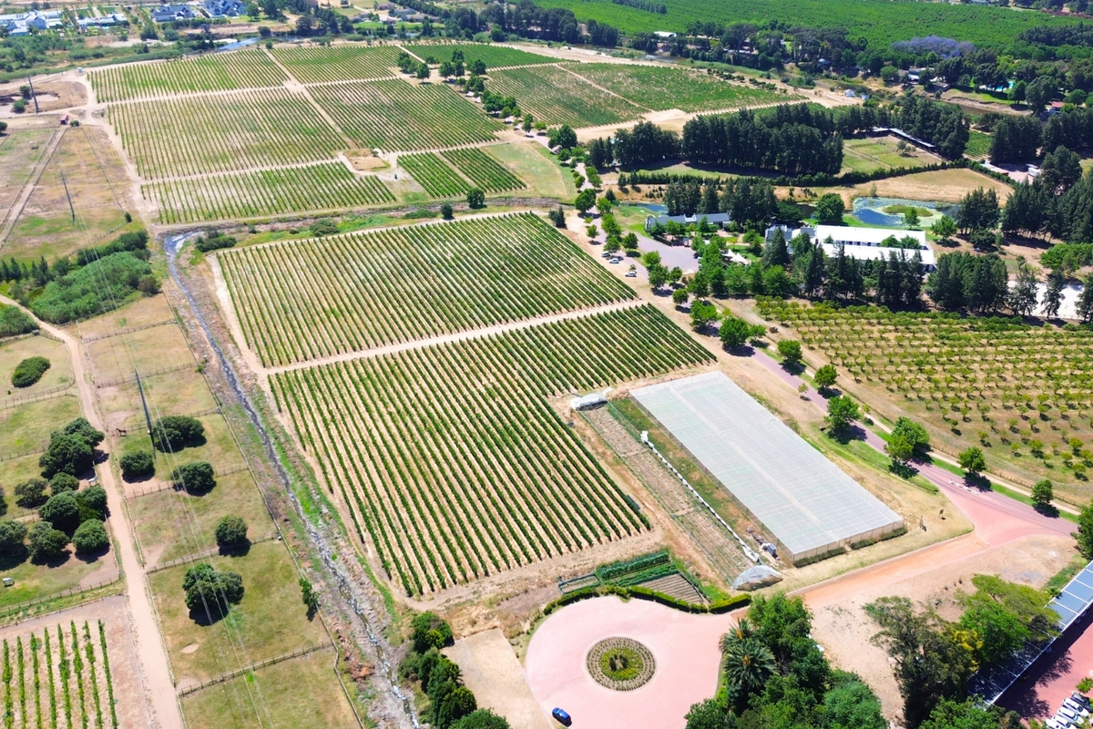 A RARE CANVAS FOR A REMARKABLE WINELANDS ESTATE - Photo 5