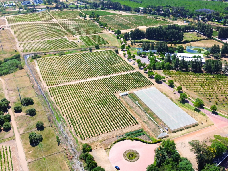 A RARE CANVAS FOR A REMARKABLE WINELANDS ESTATE - Photo 5