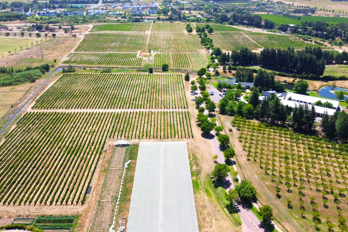 A RARE CANVAS FOR A REMARKABLE WINELANDS ESTATE - Photo 4