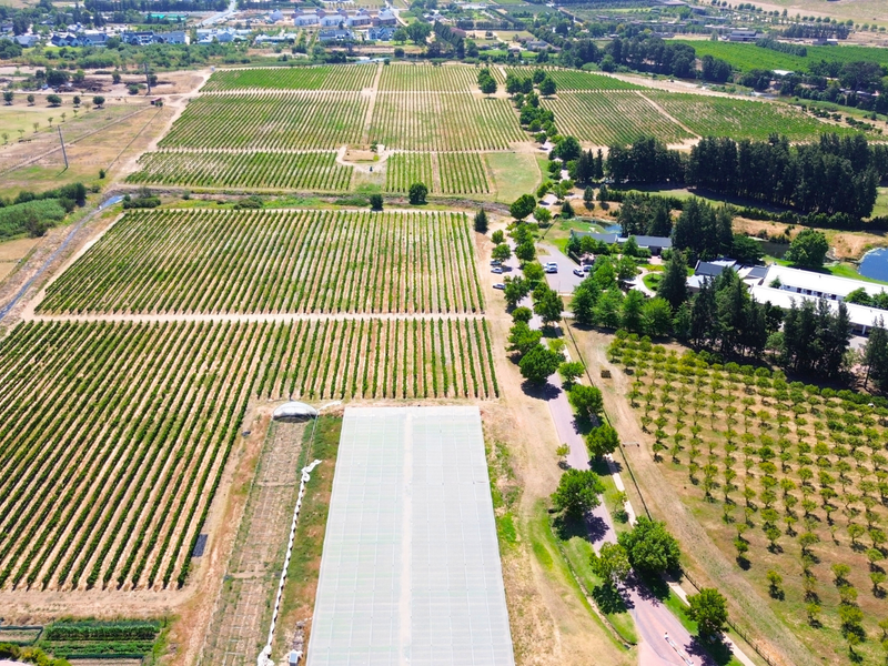 A RARE CANVAS FOR A REMARKABLE WINELANDS ESTATE - Photo 4