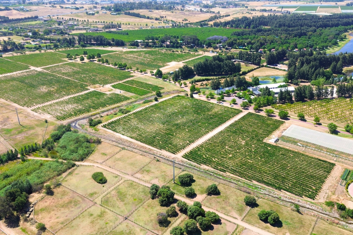 A RARE CANVAS FOR A REMARKABLE WINELANDS ESTATE - Photo 2