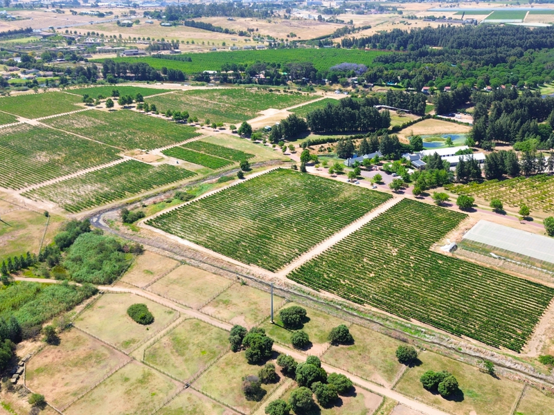 A RARE CANVAS FOR A REMARKABLE WINELANDS ESTATE - Photo 2