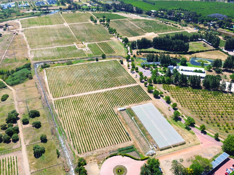 A RARE CANVAS FOR A REMARKABLE WINELANDS ESTATE - Photo 6