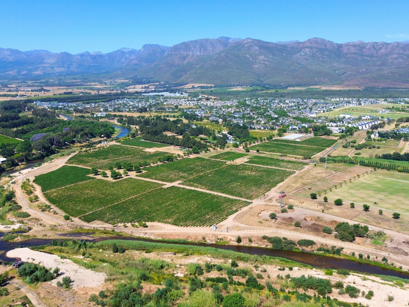 A RARE CANVAS FOR A REMARKABLE WINELANDS ESTATE - Photo 1