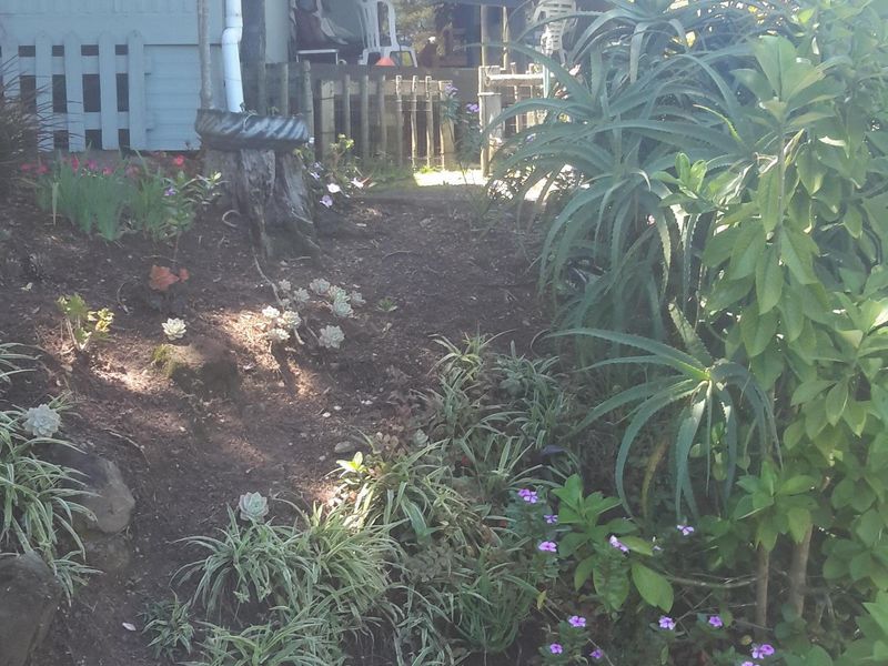 IMMACULATE UNIT FOR SALE - Photo 3