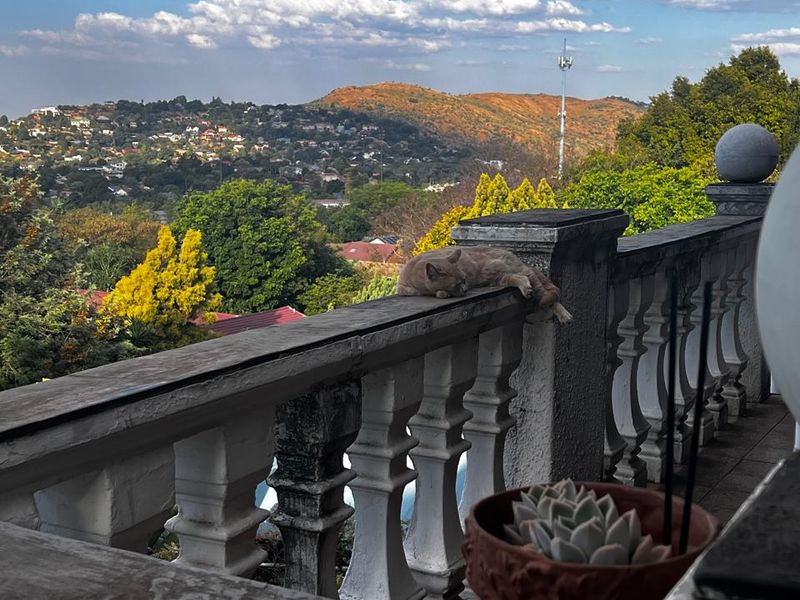 Sunset views! - Photo 9