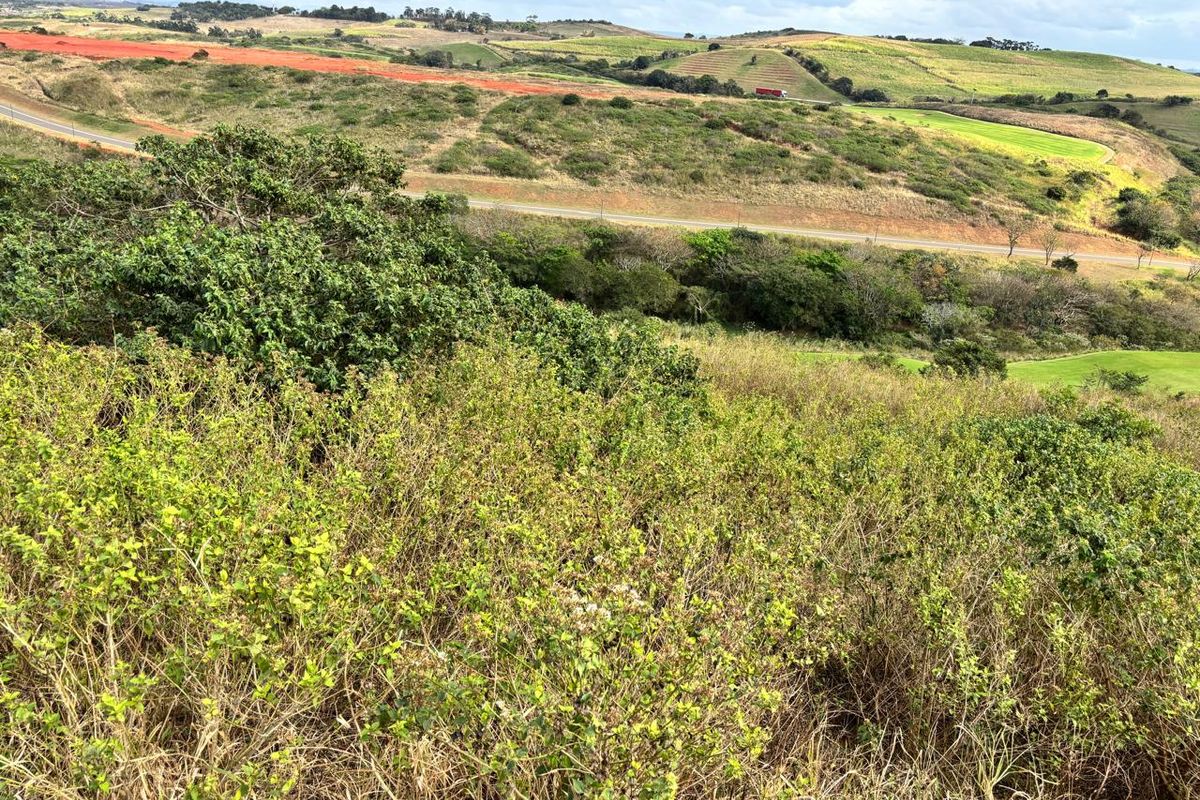 Prime Land in Zimbali Lakes Resort – Overlooking the 16th Hole Golf course - Photo 5