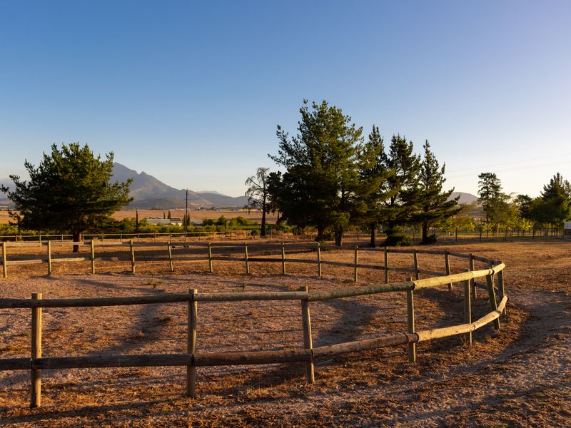 EQUESTRIAN ESTATE AT THE FOOTHILLS OF PAARL ROCK MOUNTAIN - Photo 8