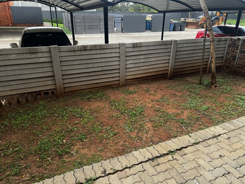 A small outdoor garden area featuring a concrete boundary wall, paved driveway section, and sparse grass coverage.