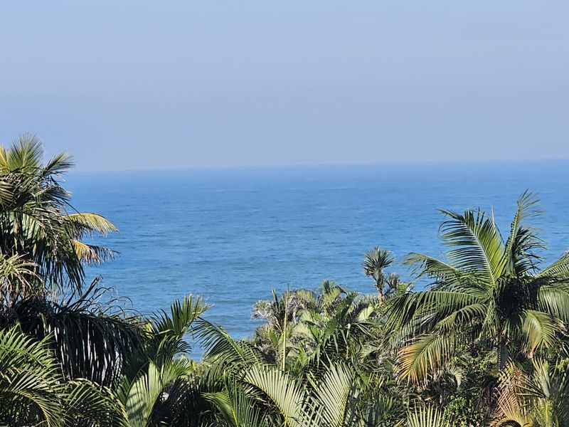 A scenic ocean view framed by lush tropical palm trees, showcasing the coastal landscape from the property.