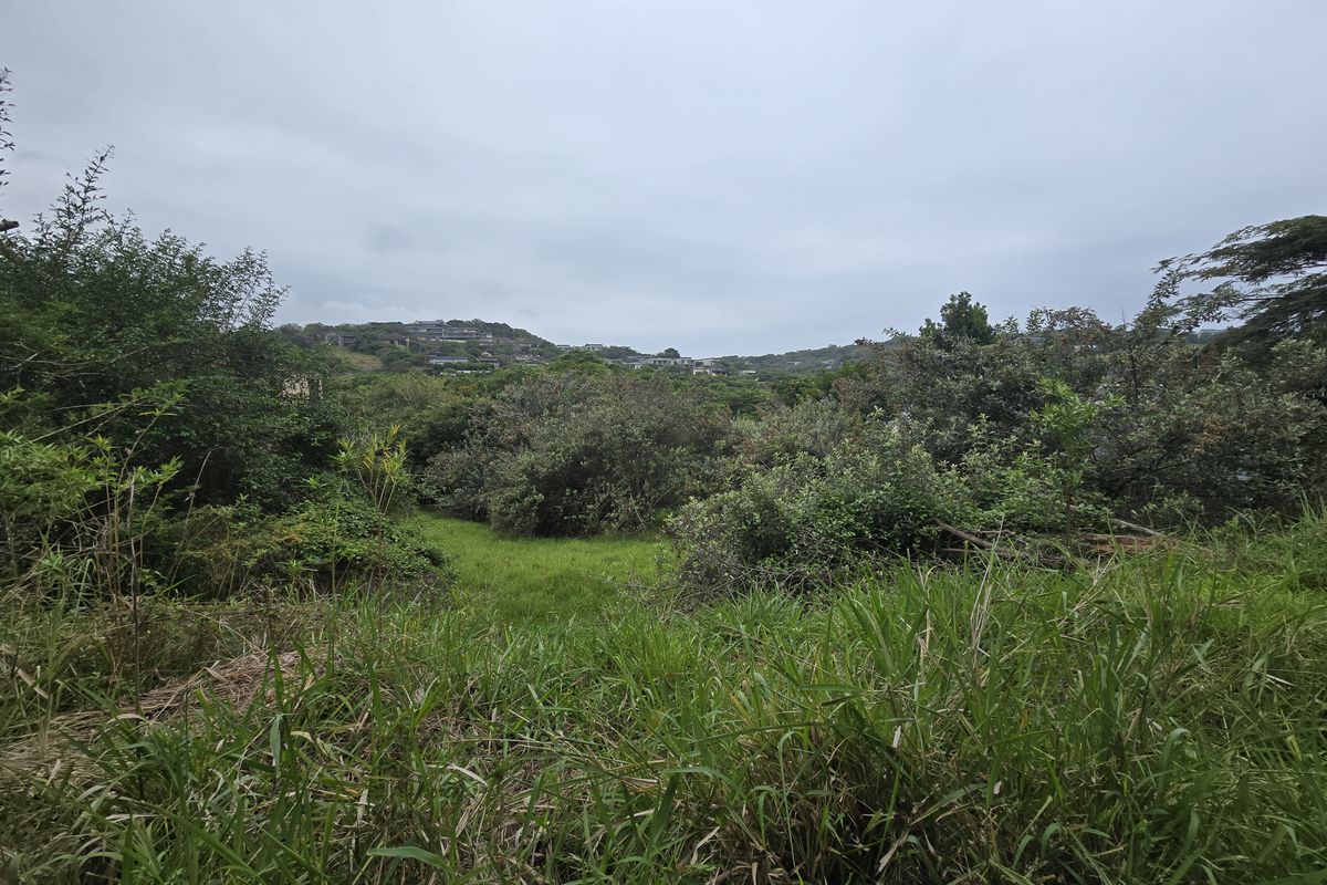 Vacant Land Residential For Sale In Ballito - Photo 3