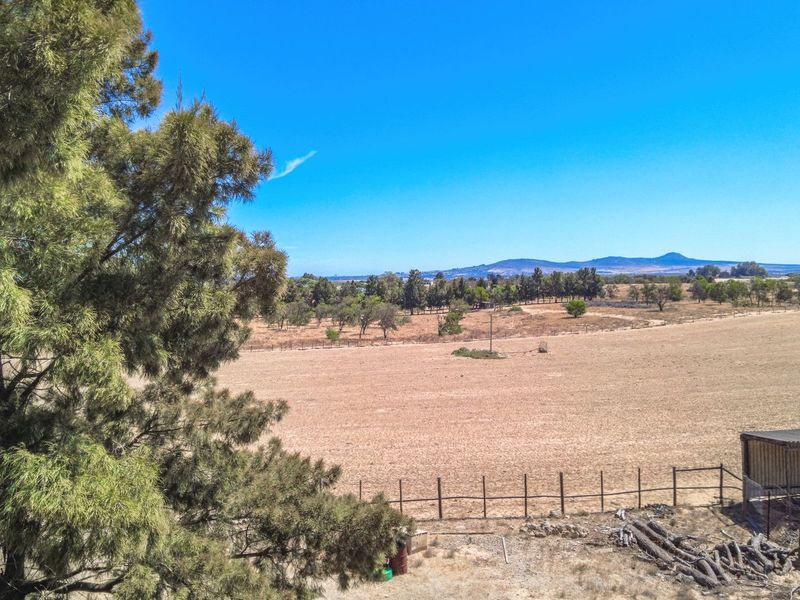 Exceptional Dual-Living Farm 10km from Malmesbury with flat potential - Photo 10