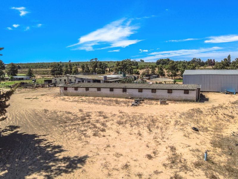 Exceptional Dual-Living Farm 10km from Malmesbury with flat potential - Photo 7