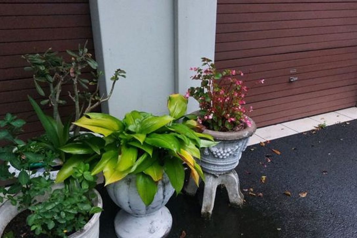 Retirement Village - Photo 2