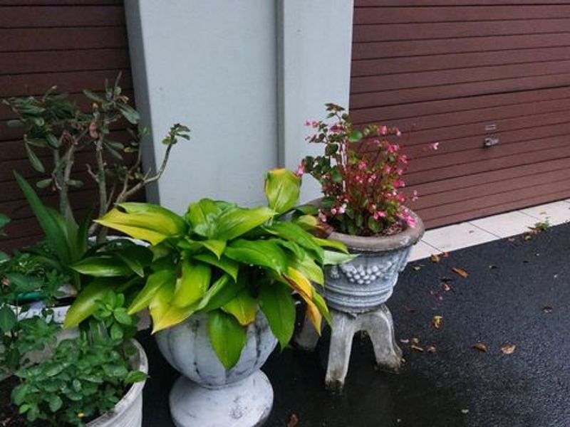 Retirement Village - Photo 2