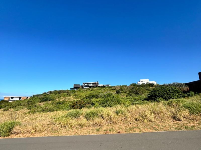 Prime Vacant Land with Seaviews - Photo 4