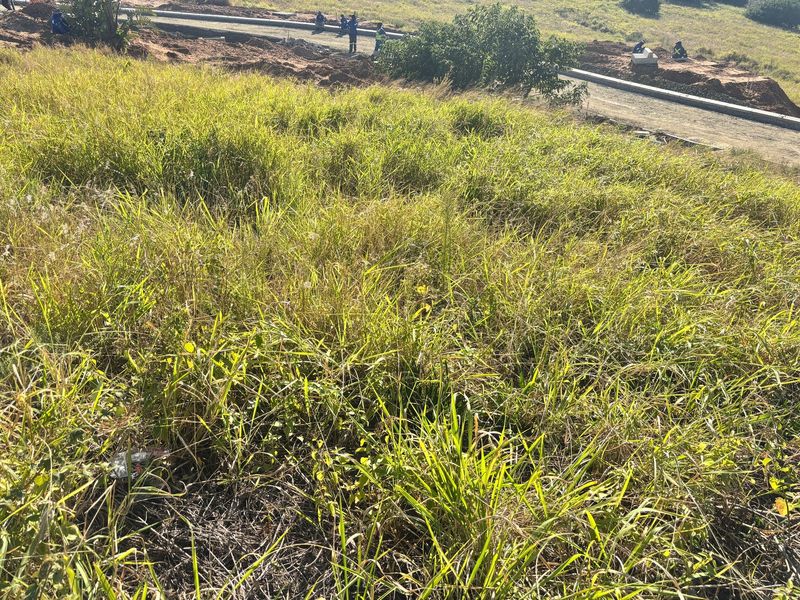 Prime Vacant Land with Green Belt Views in a Secure Estate - Photo 10