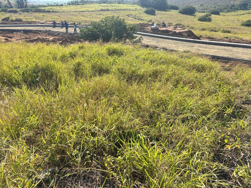 Prime Vacant Land with Green Belt Views in a Secure Estate - Photo 9