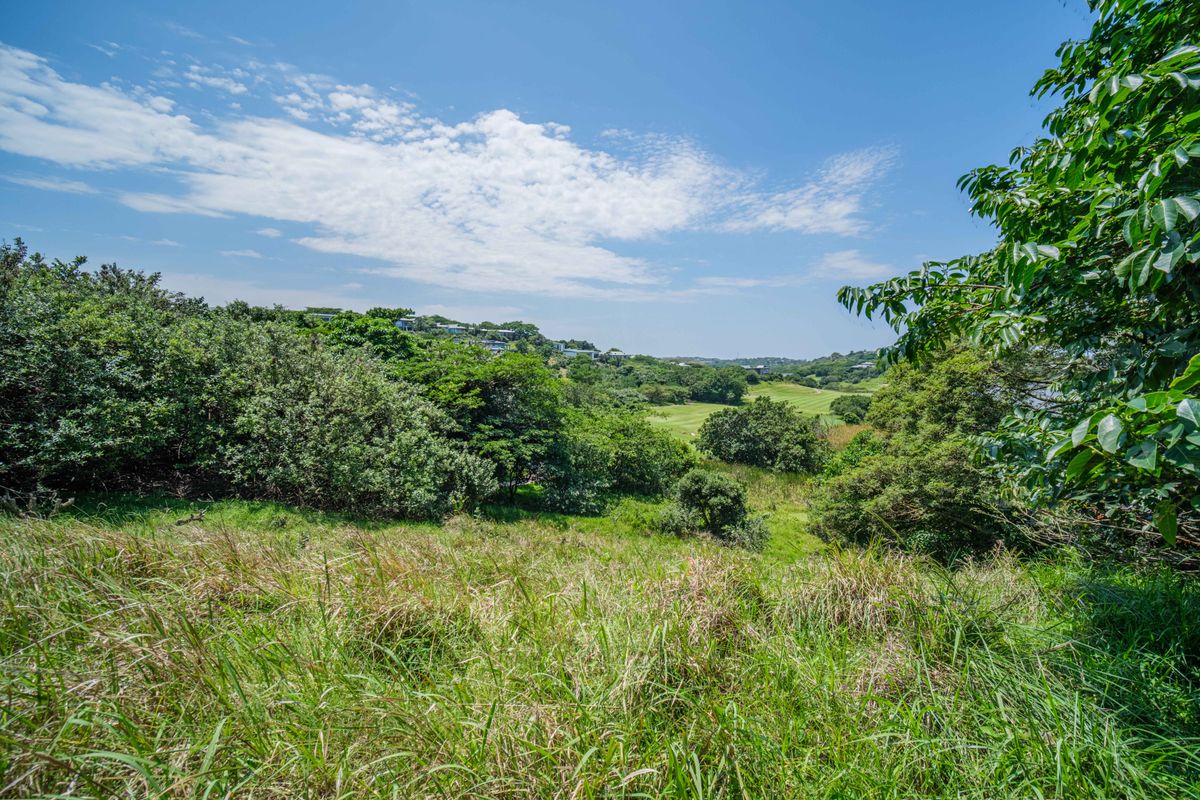 Build your dream home with views - Photo 3