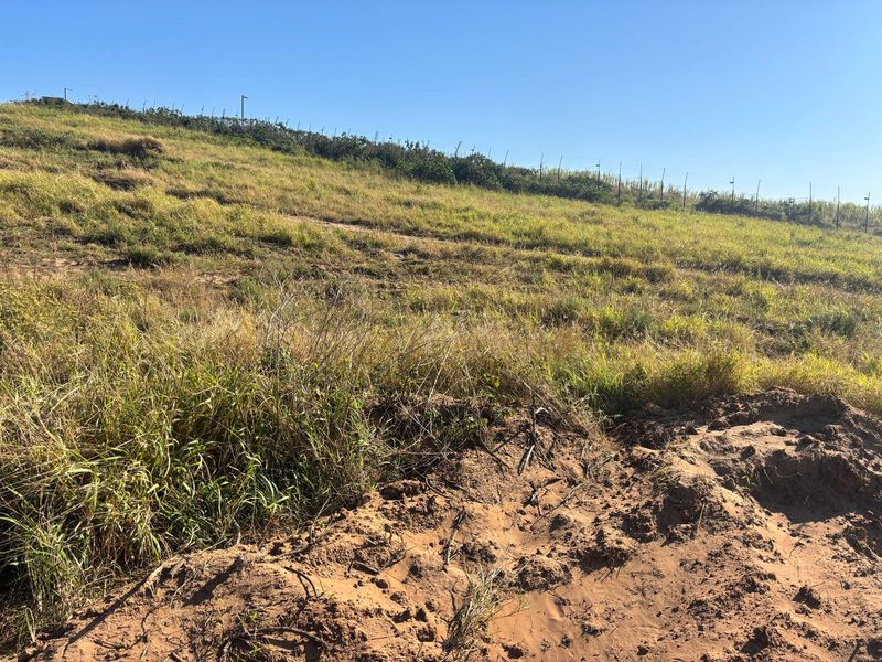 Prime Vacant Land with Sea Views & Greenbelt Frontage in Secure Estate - Photo 7