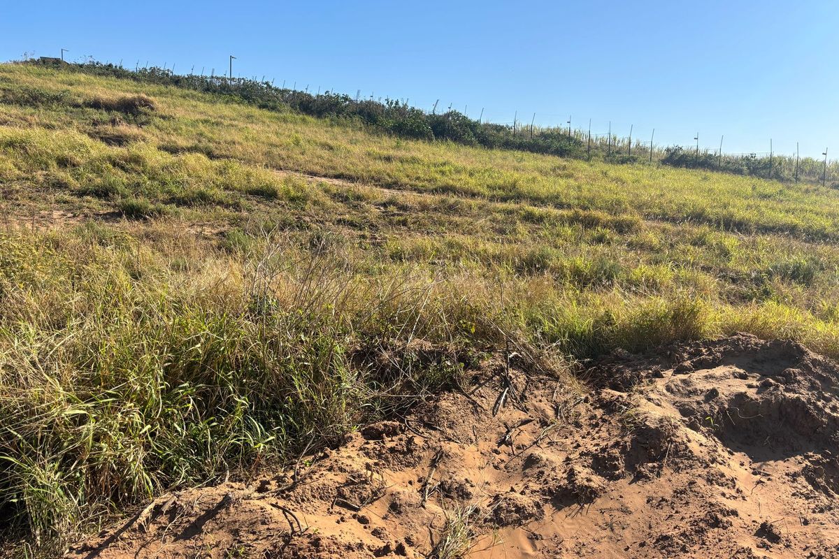 Prime Vacant Land with Sea Views & Greenbelt Frontage in Secure Estate - Photo 4