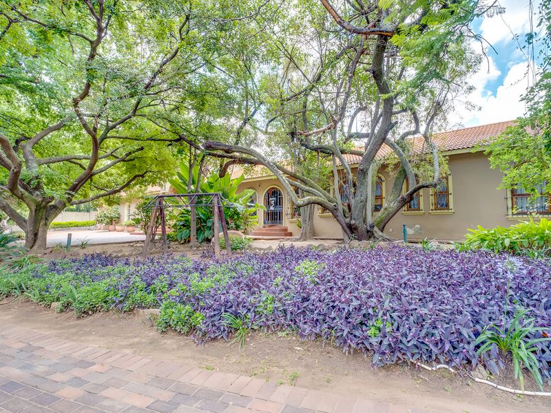 Exclusive Tuscan Bryanston Masterpiece: Resort-Style Villa with Income-Generating Potential - Photo 5