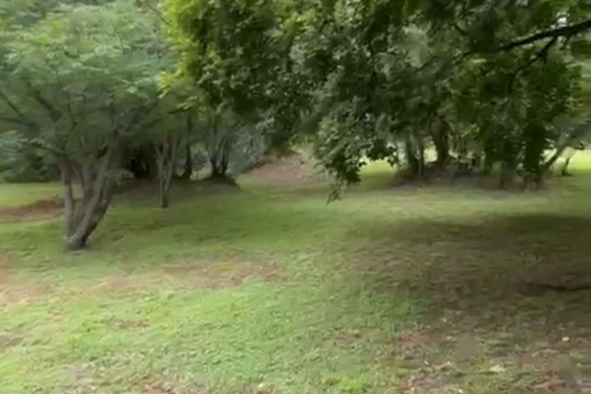 3 Stands Left, DONT MISS US!!! - Photo 5