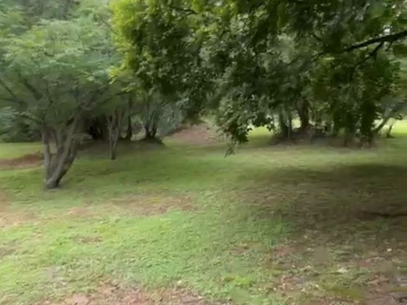 3 Stands Left, DONT MISS US!!! - Photo 5