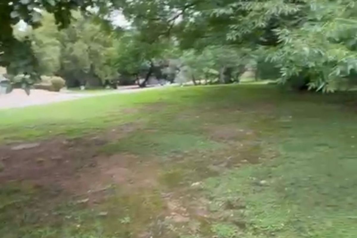 3 Stands Left, DONT MISS US!!! - Photo 4