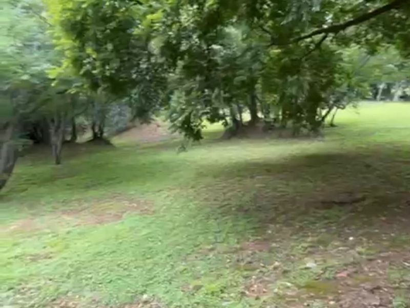 3 Stands Left, DONT MISS US!!! - Photo 7