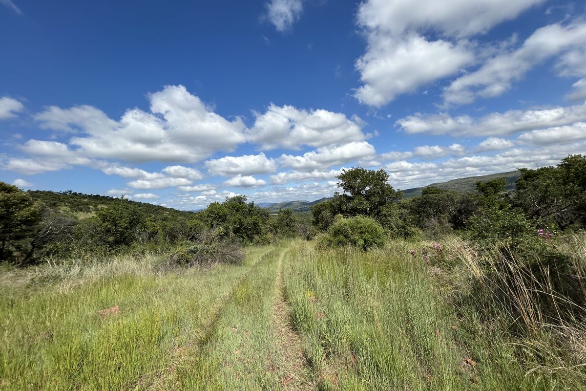 112-Hectare Income-Generating Farm in Hartbeespoort Rural – Epic Mountain Kingdom Awaits! - Photo 5
