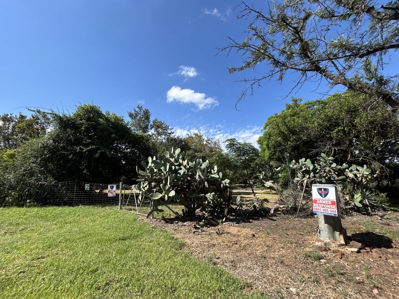 112-Hectare Income-Generating Farm in Hartbeespoort Rural – Epic Mountain Kingdom Awaits! - Photo 4