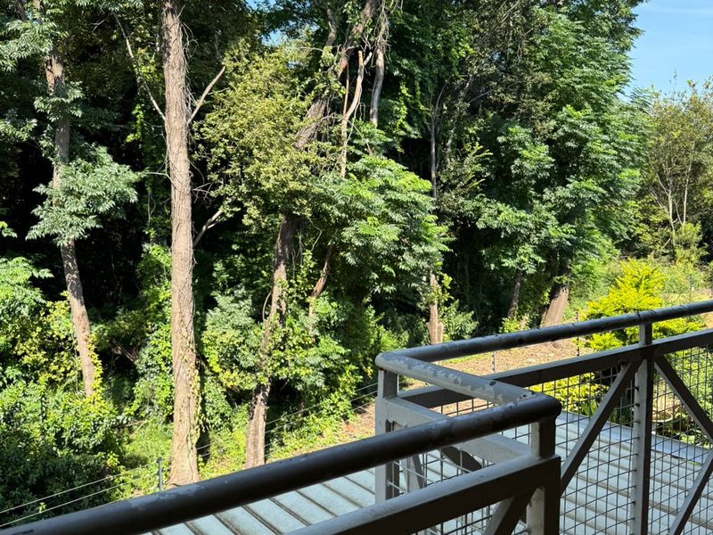 4 Bedroom House for sale in Ifafi - Photo 8