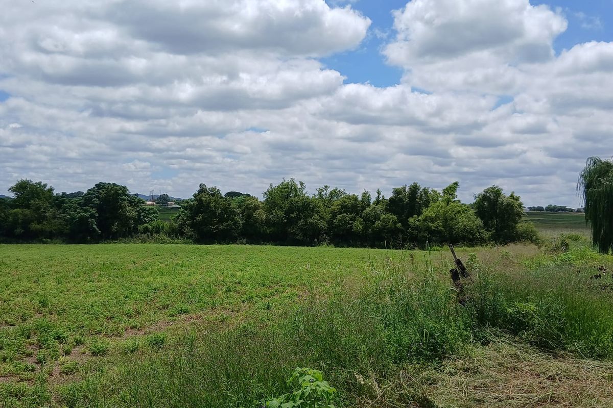 Prime Farm for Sale in Krokodildrift, Brits – Ideal for Business or Chrome Plant - Photo 3