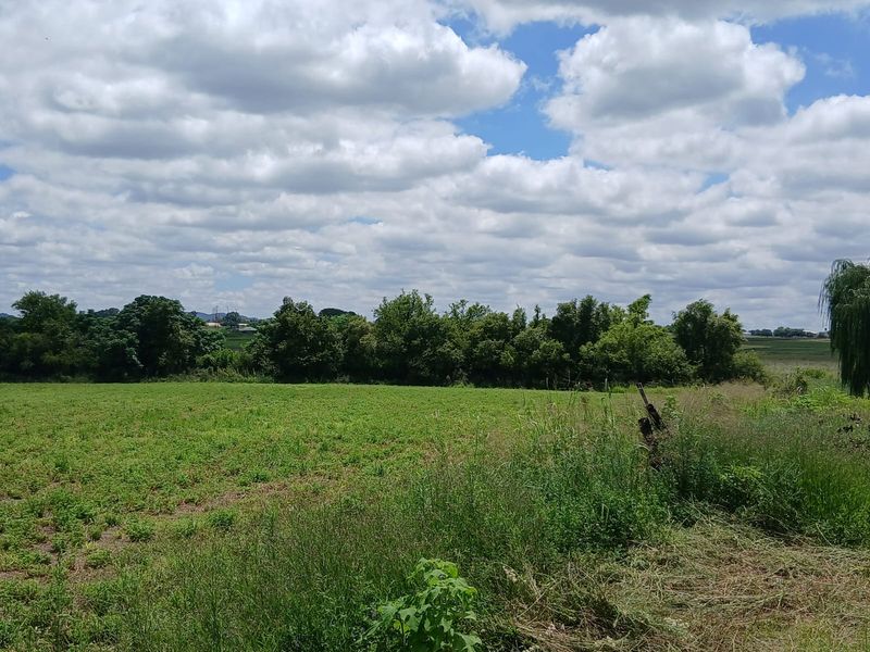 Prime Farm for Sale in Krokodildrift, Brits – Ideal for Business or Chrome Plant - Photo 3