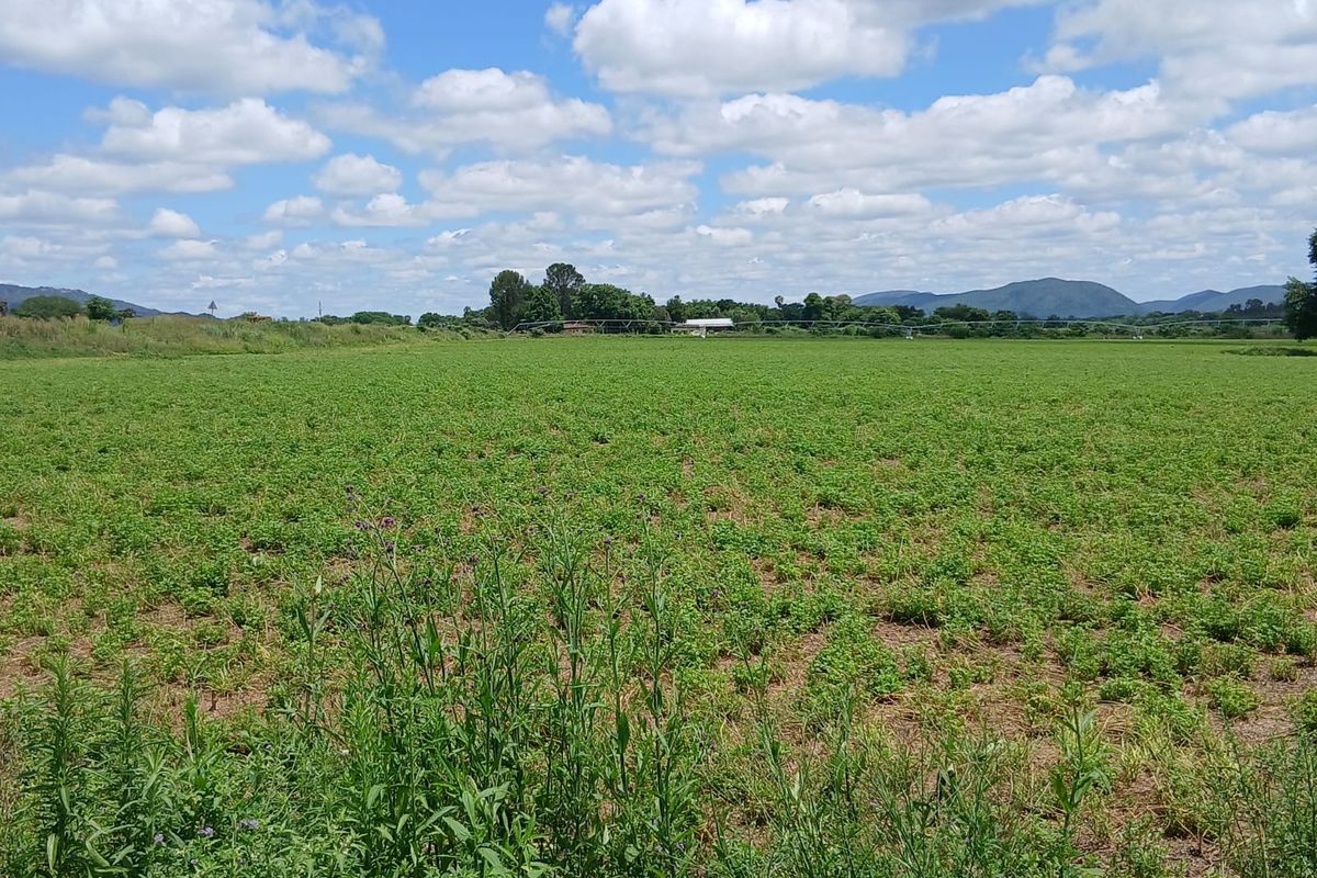 Prime Farm for Sale in Krokodildrift, Brits – Ideal for Business or Chrome Plant - Photo 2