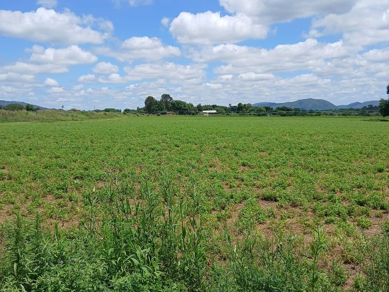 Prime Farm for Sale in Krokodildrift, Brits – Ideal for Business or Chrome Plant - Photo 2