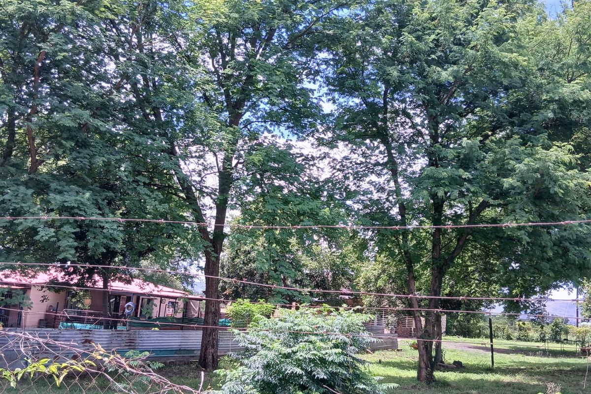 Prime Farm for Sale in Krokodildrift, Brits – Ideal for Business or Chrome Plant - Photo 5