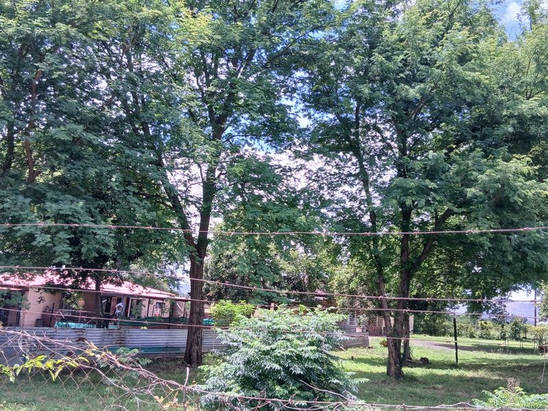 Prime Farm for Sale in Krokodildrift, Brits – Ideal for Business or Chrome Plant - Photo 5