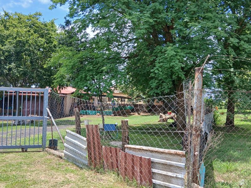 Prime Farm for Sale in Krokodildrift, Brits – Ideal for Business or Chrome Plant - Photo 7